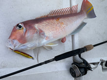 画像をギャラリービューアに読み込む, IRONFLICK 6302 SpinDrive / アイアンフリック IFLB-6302SD