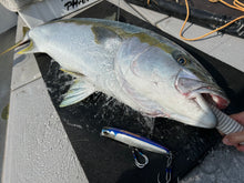 画像をギャラリービューアに読み込む, PELICAN220F/ペリカン220F