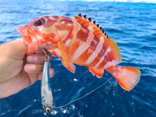 画像をギャラリービューアに読み込む, TETSUWAN VIB Zn150g / 鉄腕バイブZn 150g