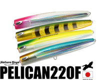 画像をギャラリービューアに読み込む, PELICAN220F/ペリカン220F