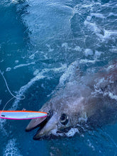 画像をギャラリービューアに読み込む, PELICAN220F/ペリカン220F