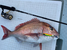 画像をギャラリービューアに読み込む, IRONFLICK 6302 SpinDrive / アイアンフリック IFLB-6302SD