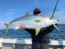 画像をギャラリービューアに読み込む, IRONTOMAHAWK 868S / アイアントマホーク ITNB-868S