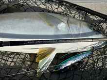 画像をギャラリービューアに読み込む, IRONTOMAHAWK 846S / アイアントマホーク ITNB-846S