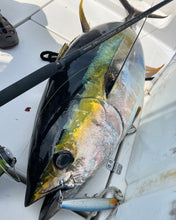 画像をギャラリービューアに読み込む, IRONTOMAHAWK 809M / アイアントマホーク ITNB-809M