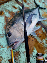 画像をギャラリービューアに読み込む, IRONTOMAHAWK 809M / アイアントマホーク ITNB-809M