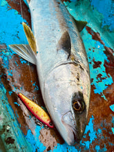 Load image into Gallery viewer, IRONHOOK TypeAK26/ iron hook TypeAK26