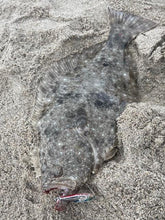 Load image into Gallery viewer, IRONHOOK TypeAK26/ iron hook TypeAK26