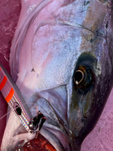 画像をギャラリービューアに読み込む, IRONHOOK TYPE ID/アイアンフック タイプアイディー