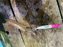 画像をギャラリービューアに読み込む, IKATETSU/烏賊鉄(イカテツ)65g〜145g