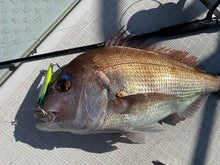 画像をギャラリービューアに読み込む, IRONFLICK 6302 SpinDrive / アイアンフリック IFLB-6302SD