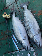 画像をギャラリービューアに読み込む, IRONFLICK 6605QuickDrive / アイアンフリック IFLB-6605QD