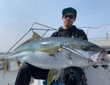 画像をギャラリービューアに読み込む, PELICAN220F/ペリカン220F