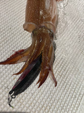 画像をギャラリービューアに読み込む, IKATETSU/烏賊鉄(イカテツ)65g〜145g