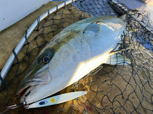 画像をギャラリービューアに読み込む, IRONHOOK TYPE ID/アイアンフック タイプアイディー