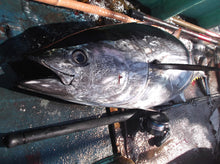 画像をギャラリービューアに読み込む, IRONWILL 634BWSF / アイアンウィル IWPS-634BWSF