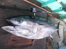 画像をギャラリービューアに読み込む, IRONWILL 634BWSF / アイアンウィル IWPS-634BWSF