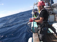 画像をギャラリービューアに読み込む, IRONWILL 634BWSF / アイアンウィル IWPS-634BWSF