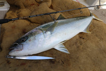 画像をギャラリービューアに読み込む, IRONRANGE5103 QUICKDRIVE/アイアンレンジ5103クイックドライブ IRNB-5103QD Spinning