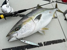 画像をギャラリービューアに読み込む, IRONRANGE5103B QUICKDRIVE/アイアンレンジ5103Bクイックドライブ IRNB-5103BQD Bait