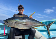 画像をギャラリービューアに読み込む, IRONWILL 595W / アイアンウィル IWPS-595W+PF