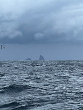 画像をギャラリービューアに読み込む, IRONTOMAHAWK 809M / アイアントマホーク ITNB-809M