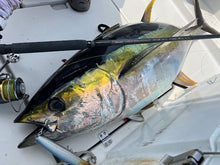 画像をギャラリービューアに読み込む, PELICAN220F/ペリカン220F