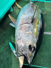 画像をギャラリービューアに読み込む, SwimRiderShort/スイムライダーショート295g