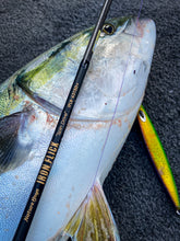 画像をギャラリービューアに読み込む, IRONFLICK 631 SpinDrive Plus / アイアンフリック IFLB-631SD+