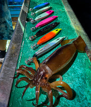 画像をギャラリービューアに読み込む, IKATETSU/烏賊鉄(イカテツ)65g〜145g