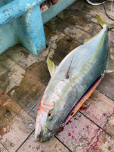 画像をギャラリービューアに読み込む, DIVING BIRD/ダイビングバード125g 150g 180g