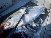 画像をギャラリービューアに読み込む, IRONTOMAHAWK 846S / アイアントマホーク ITNB-846S