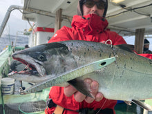 画像をギャラリービューアに読み込む, DIVING BIRD/ダイビングバード125g 150g 180g