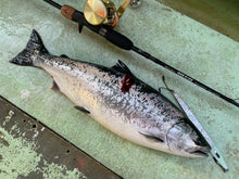 画像をギャラリービューアに読み込む, DIVING BIRD/ダイビングバード125g 150g 180g