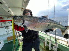 画像をギャラリービューアに読み込む, DIVING BIRD/ダイビングバード125g 150g 180g