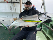 画像をギャラリービューアに読み込む, DIVING BIRD/ダイビングバード125g 150g 180g