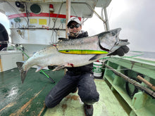 画像をギャラリービューアに読み込む, DIVING BIRD/ダイビングバード125g 150g 180g