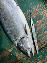 画像をギャラリービューアに読み込む, DIVING BIRD/ダイビングバード125g 150g 180g