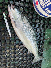画像をギャラリービューアに読み込む, DIVING BIRD/ダイビングバード125g 150g 180g