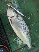 画像をギャラリービューアに読み込む, DIVING BIRD/ダイビングバード125g 150g 180g