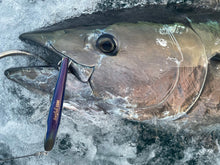 画像をギャラリービューアに読み込む, SURFISH220F/サーフィッシュ220F