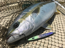 画像をギャラリービューアに読み込む, SwimRiderShort/スイムライダーショート295g