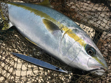 画像をギャラリービューアに読み込む, SwimRider/スイムライダー180g〜260g