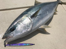 画像をギャラリービューアに読み込む, SwimRider/スイムライダー 65g〜150g