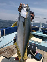 画像をギャラリービューアに読み込む, SwimRider/スイムライダー180g〜260g