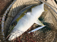 画像をギャラリービューアに読み込む, SwimRider/スイムライダー180g〜260g