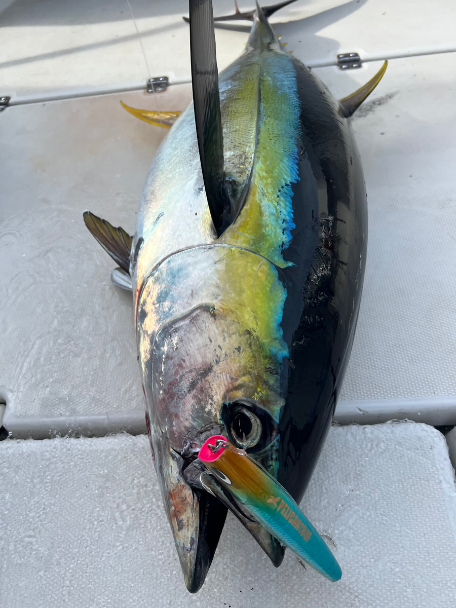 PELICAN180F/ pelican 180F
