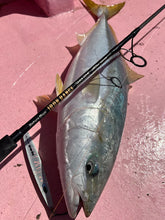 画像をギャラリービューアに読み込む, SPINRIDERDEEP/スピンライダーディープ