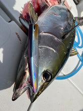 画像をギャラリービューアに読み込む, IRONTOMAHAWK 809M / アイアントマホーク ITNB-809M