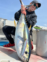 画像をギャラリービューアに読み込む, PELICAN220F/ペリカン220F